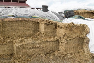 Silage