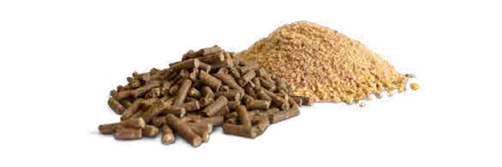 KULMIN Toco forte 100 2.0