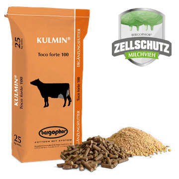 KULMIN Toco forte 100 2.0