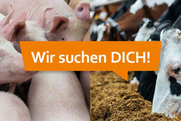 Berufseinsteiger im Bereich Tierernährung (m/w/d) Berufseinsteiger im Bereich Tierernährung (m/w/d)