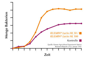 Wachstum des Bakteriums