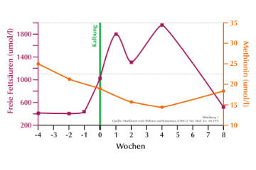 Niedriger Methioningehalt