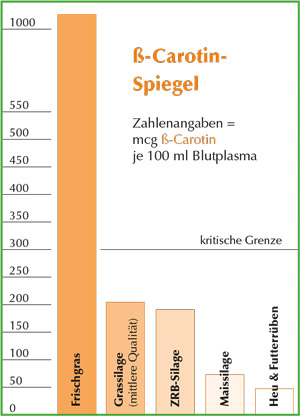 Fehlendes ß-Carotin über BERGO Beta-Konzentrat zufüttern