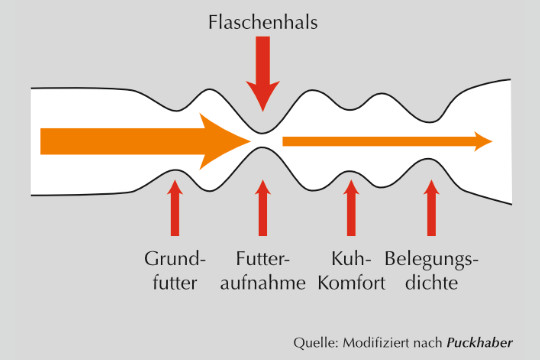 Prinzip Flaschenhals