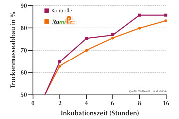 Stärkeabbau im Pansen