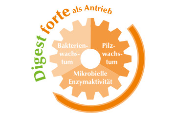 Digest forte als Antrieb