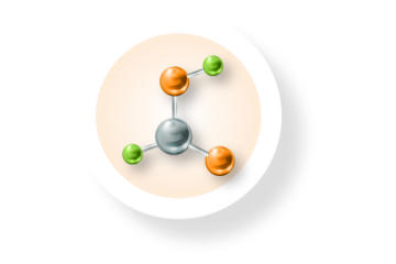 Immunsystem