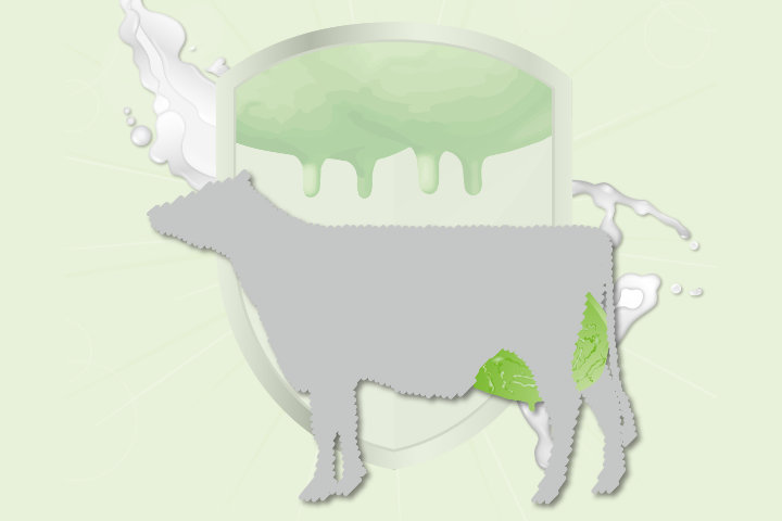 KULMIN TocoForte 100 2.0 KULMIN TocoForte 100 2.0