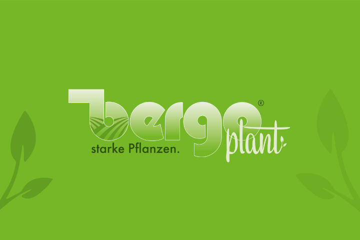 BERGO plant