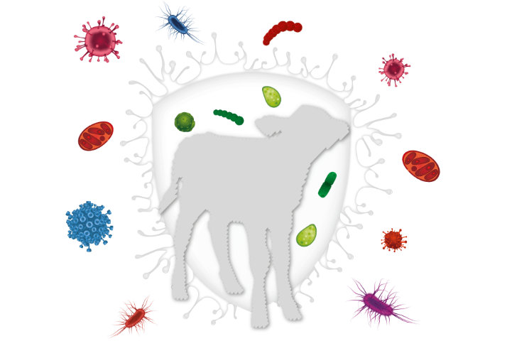 BERGIN ProMilk K-OLB BERGIN ProMilk K-OLB