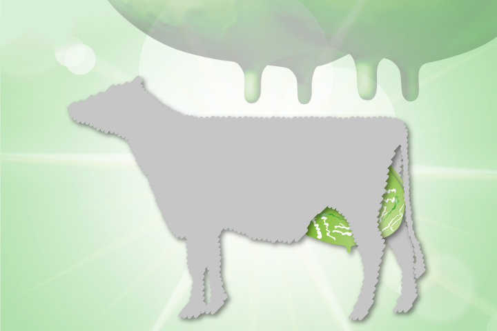 KULMIN TocoBolus S + L KULMIN TocoBolus S + L