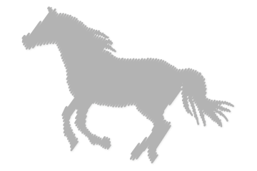 Pferde