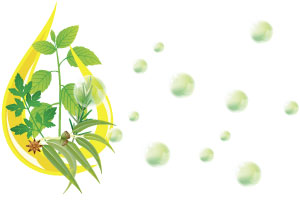 BERGOFRESH Liquid