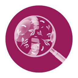 KULMIN Dairy Buffer & Bind