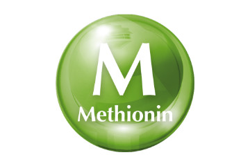 Methionin