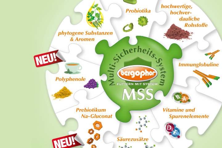 Multi-Sicherheits-System
