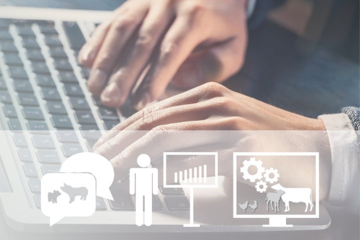 Software und Fortbildung
